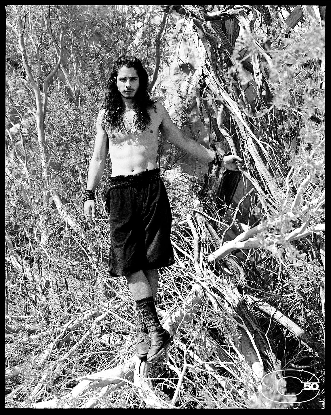 Chris Cornell (tree)